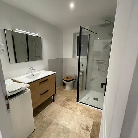 Indépendant Chez L’habitant Appartement Puymiclan